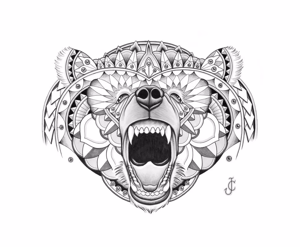Bear illustration