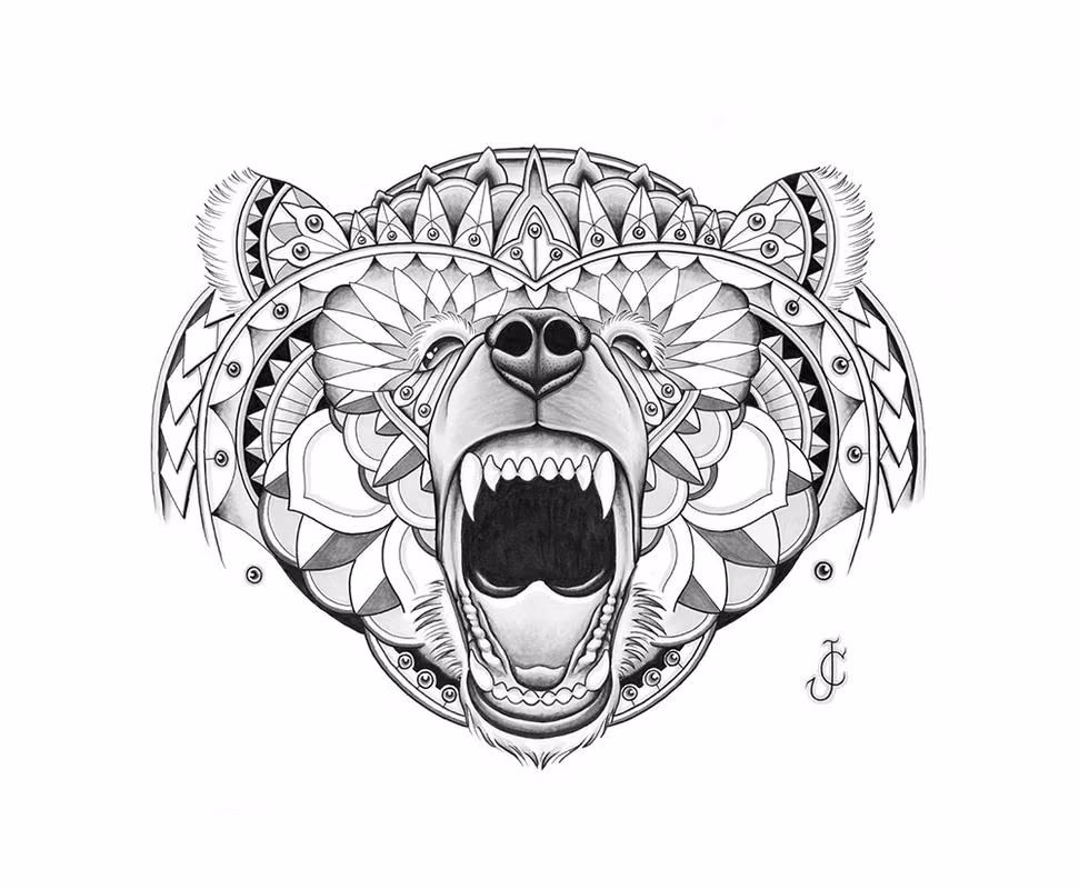 bear illustration