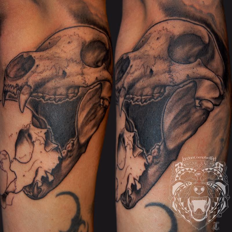 bear & human skull in progress