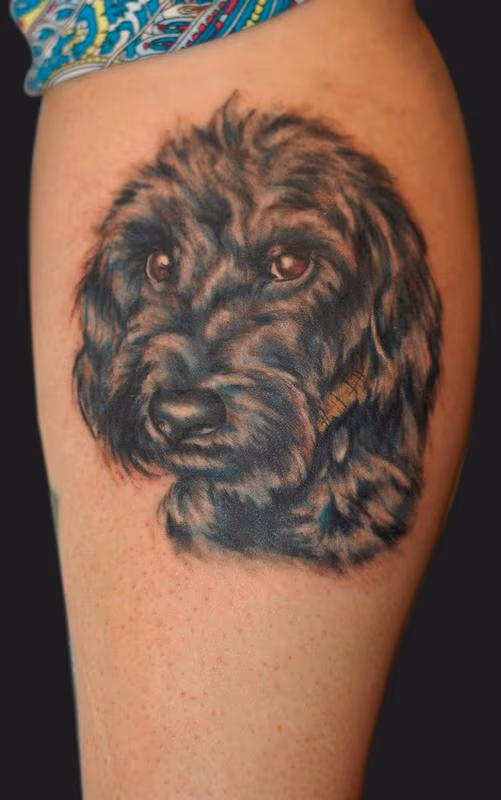 Dog
