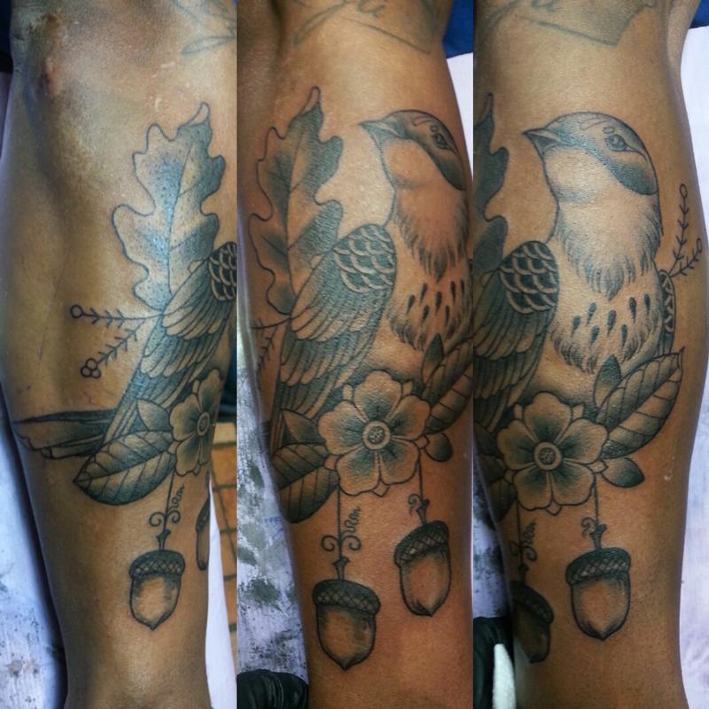 acorn bird