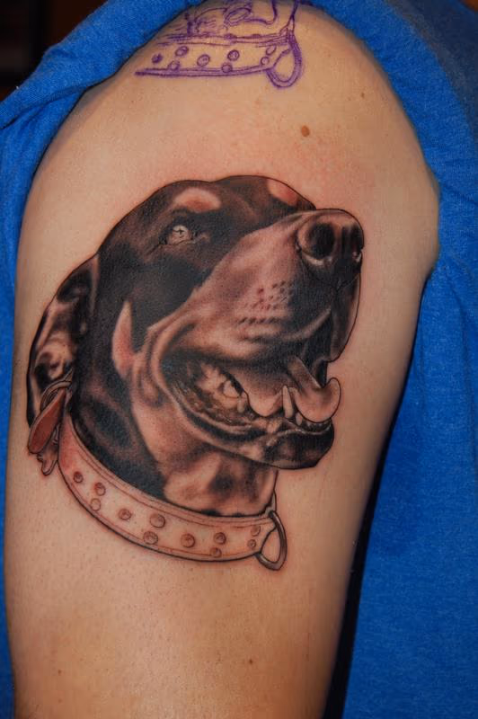 Rotti mix in-progress