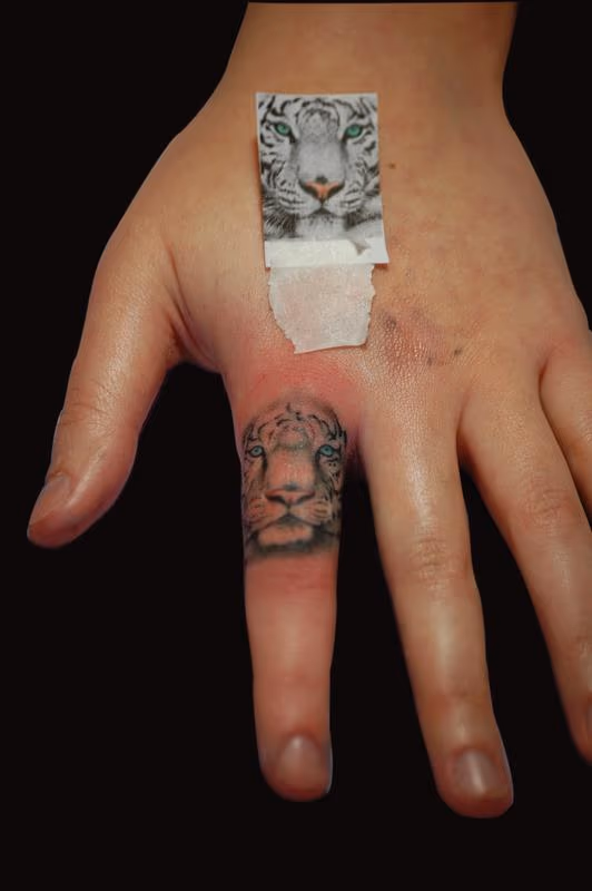 White Tiger