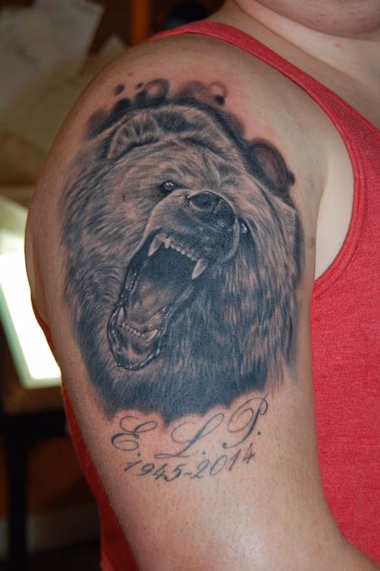 Bear portrait