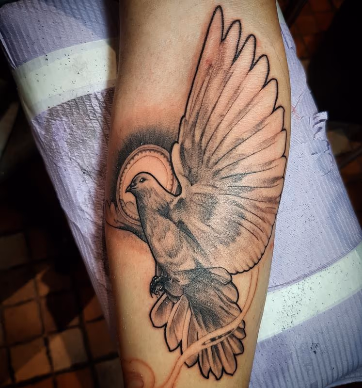 Dove
