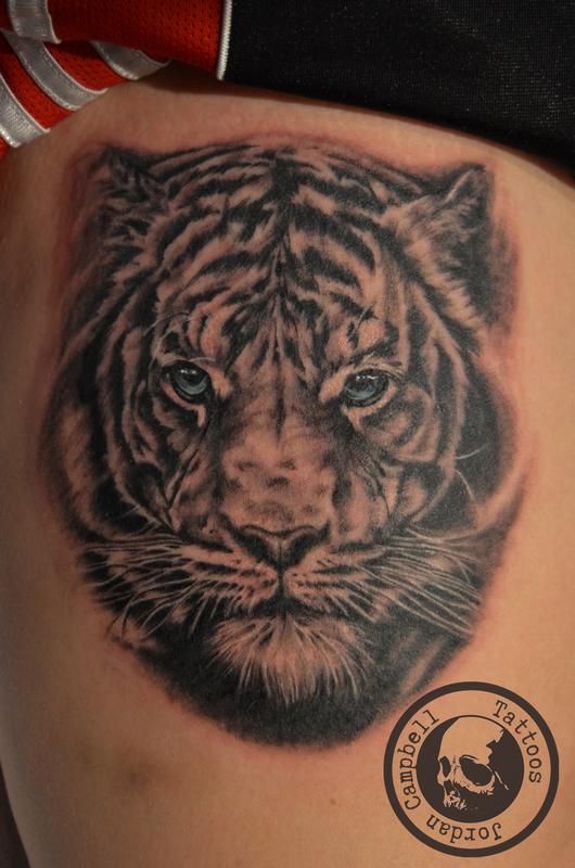 Tiger Portrait