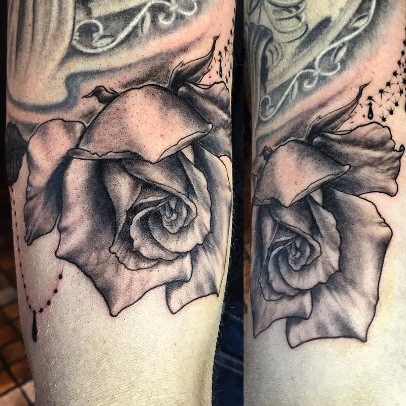 freehand rose