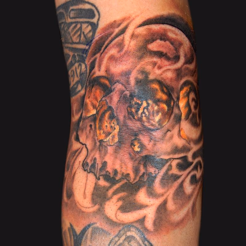 Skull