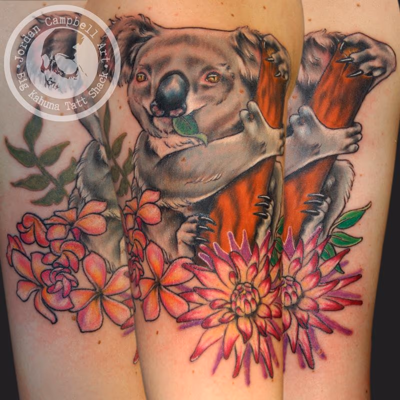 koala