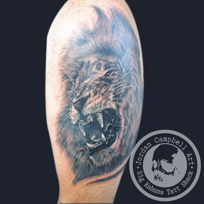 lion coverup