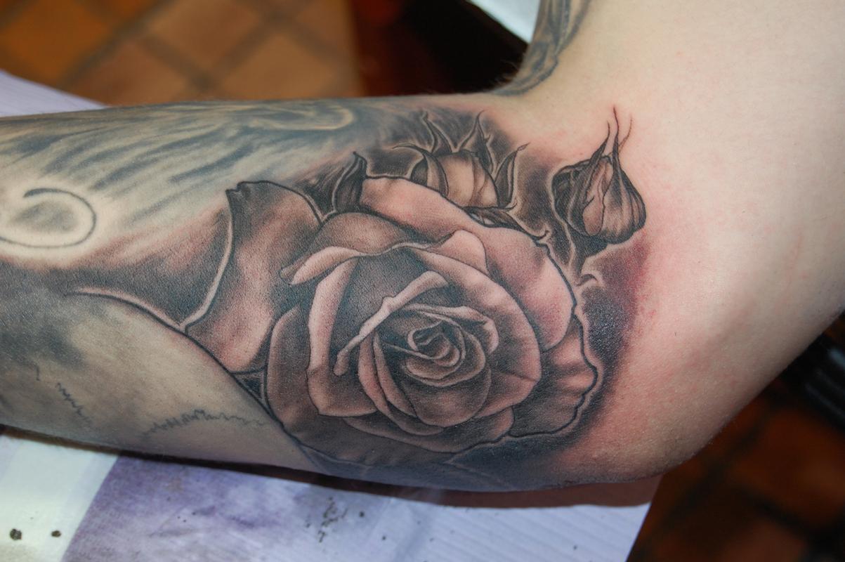 Rose