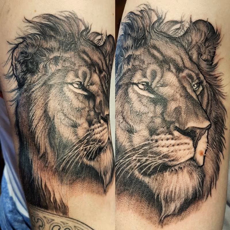 Fine line Feline