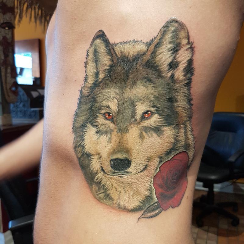 Wolf rose