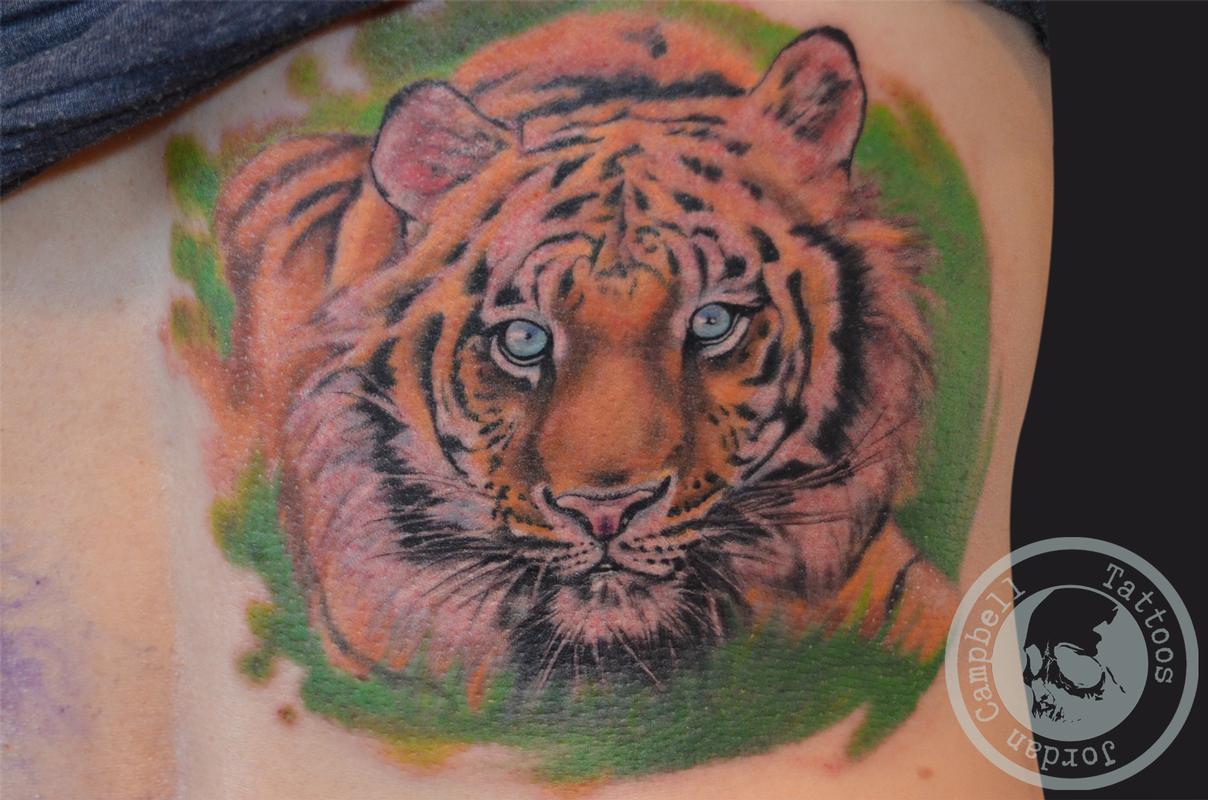 colour tiger portrait