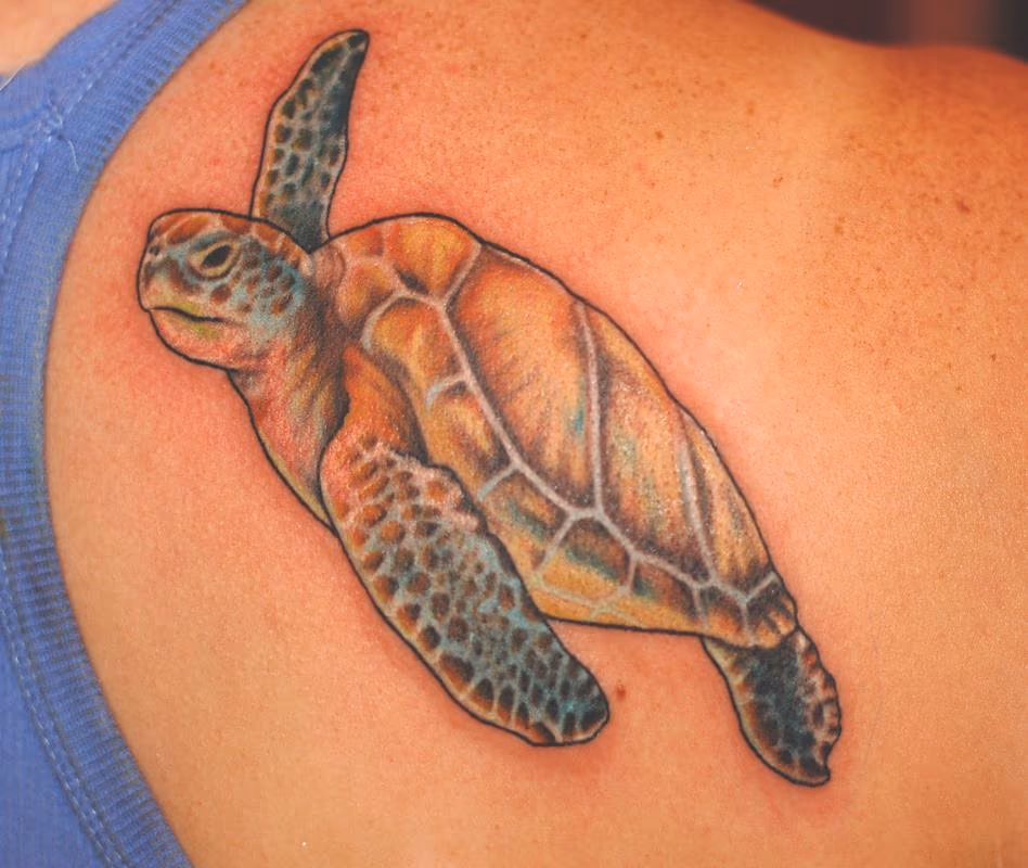 Sea Turtle