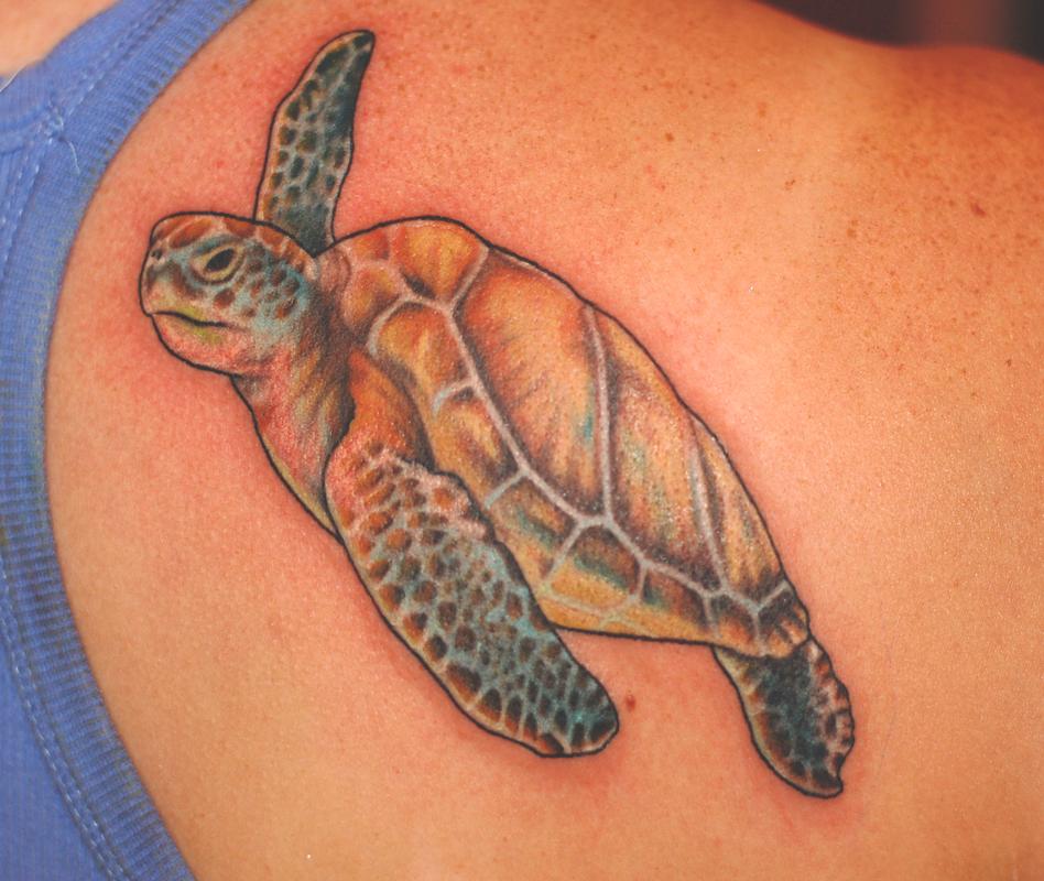 Sea Turtle