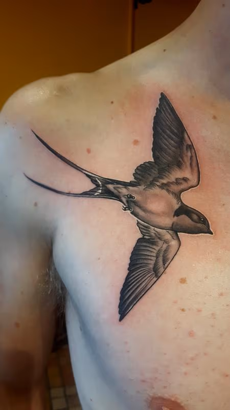 swallow this!