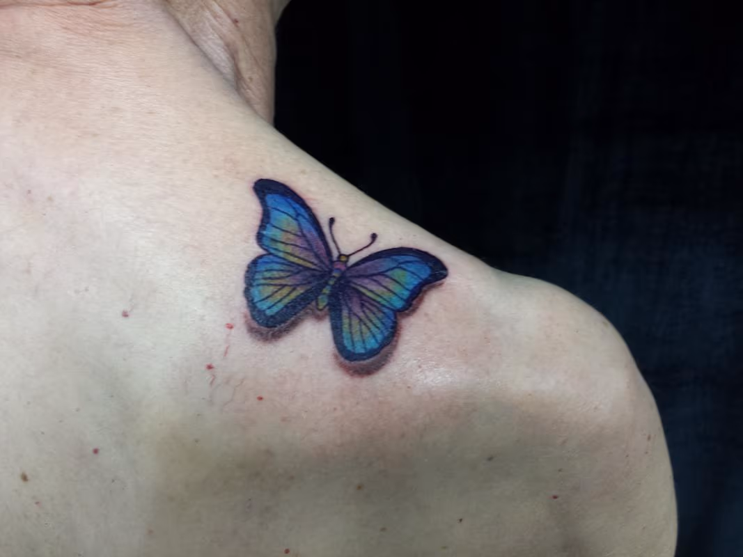 Butterfly
