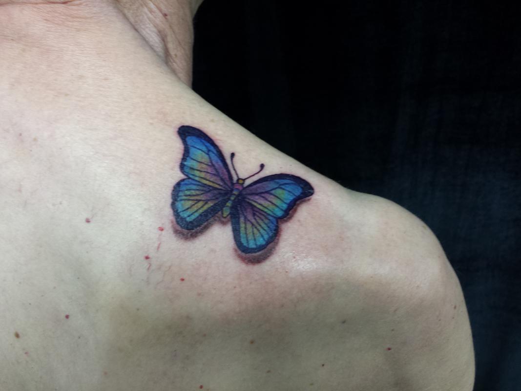 Butterfly