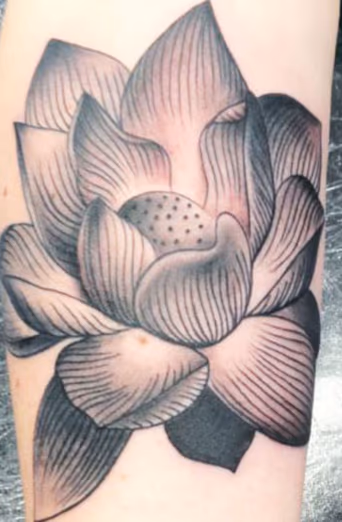 Lotus