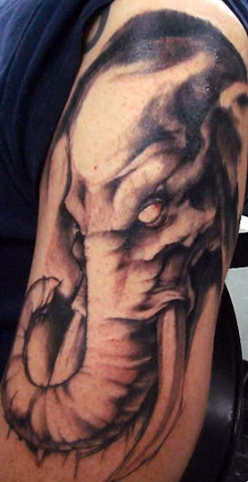 Elephant