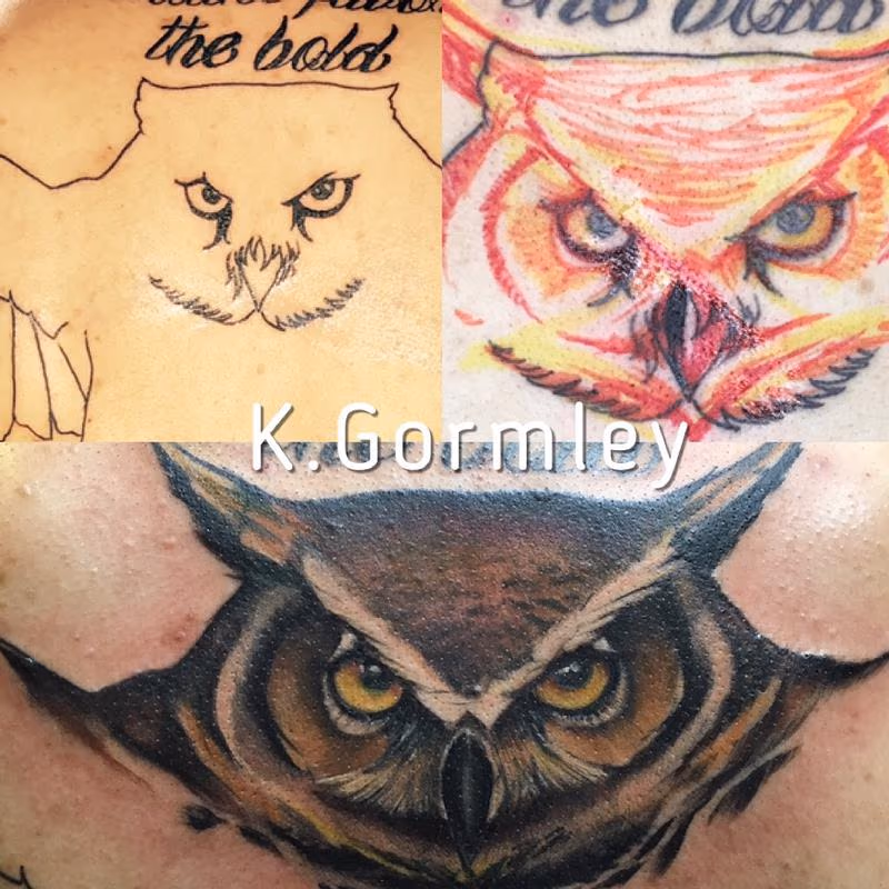 Save the owl