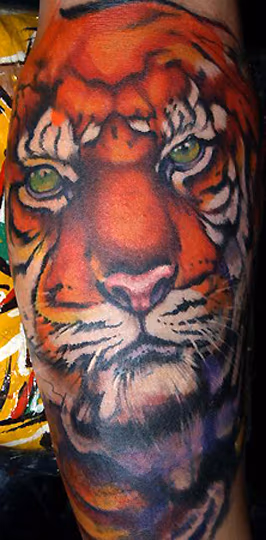 TIGER