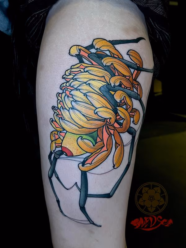 Spidermum Spider Chrysanthemum