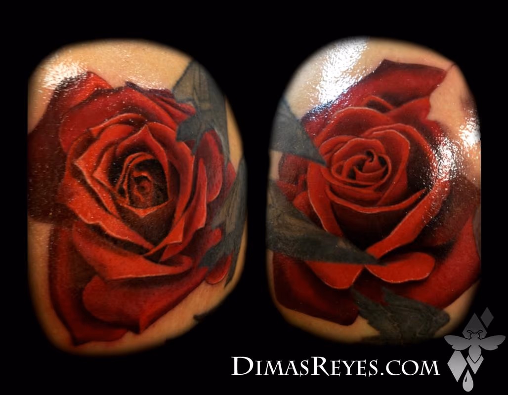 Color Realistic Rose Tattoos