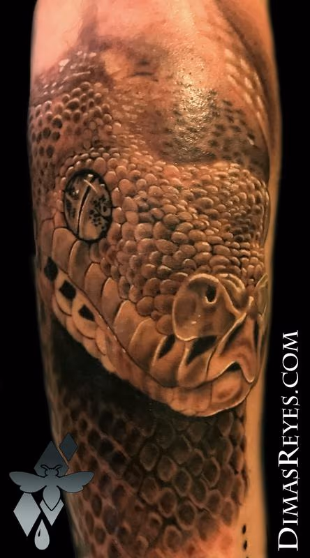 Black and Grey Tree Viper tattoo