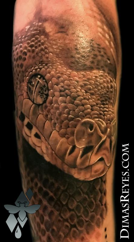 Black and Grey Tree Viper tattoo