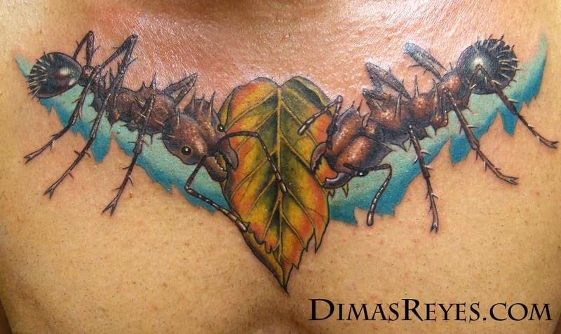 Color Realistic Leafcutter Ants and Leaf Tattoo