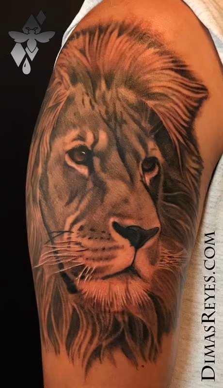 Black and Grey Realistic Lion tattoo