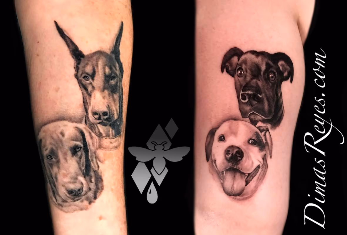 Black and Grey Realistic Dog Portraits