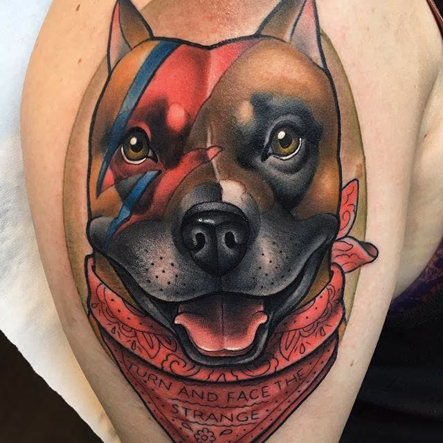 Bowie Dog Portrait