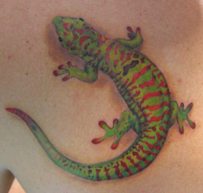 colorful gecko
