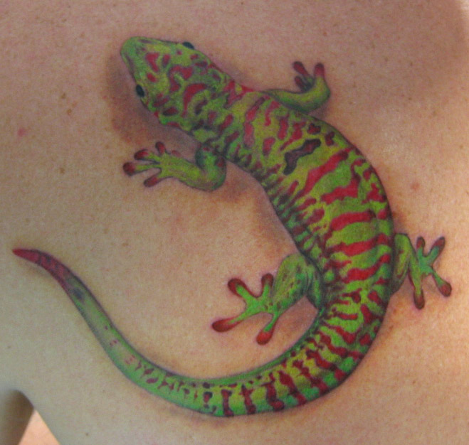 colorful gecko