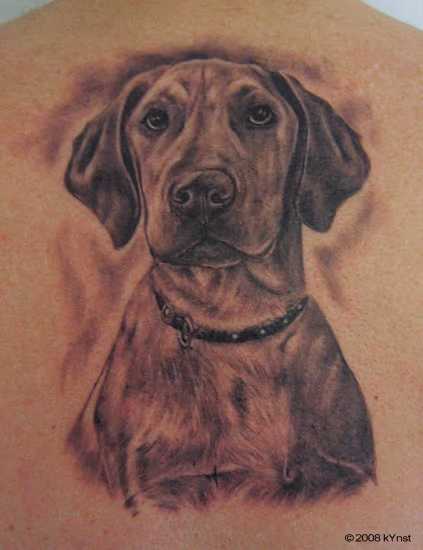 gipsy