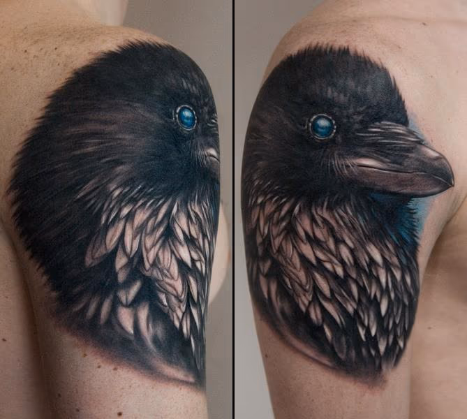 raven