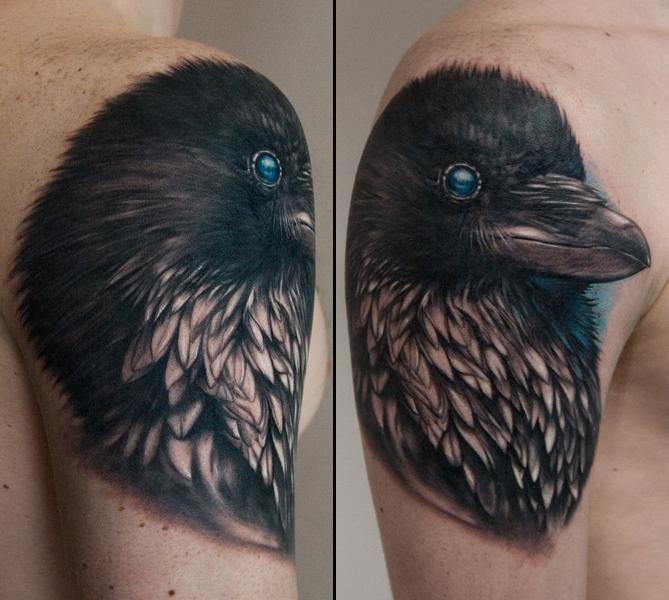 raven