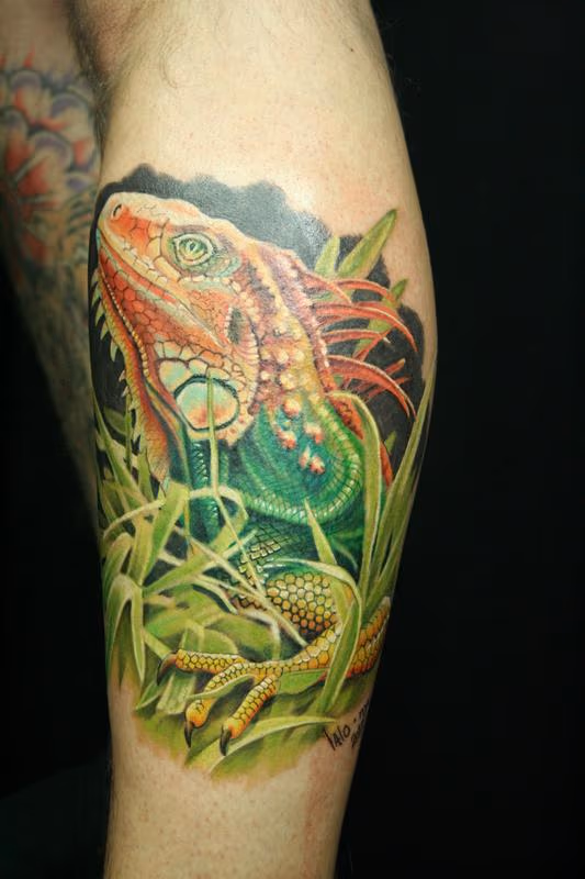 Lizard