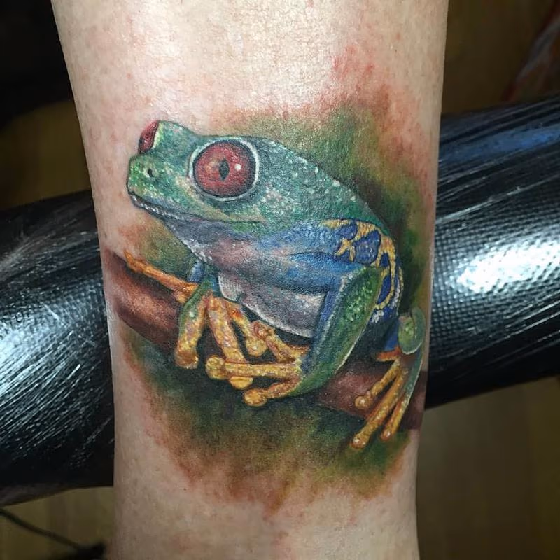 Tree frog in color
