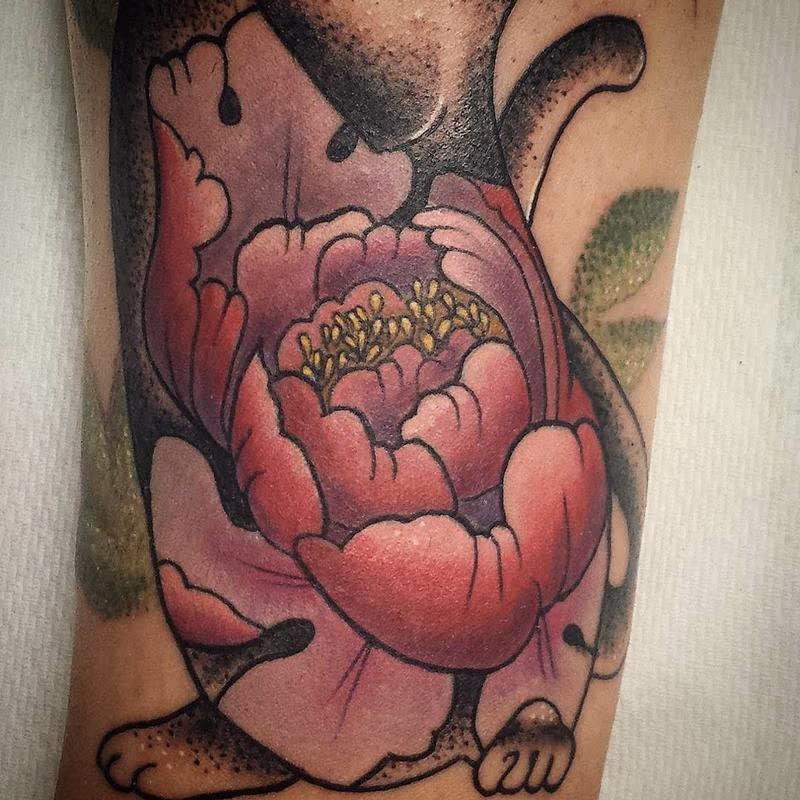 Peony in Color