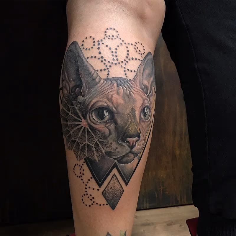 Realistic Sphinx Cat With Geometric Details