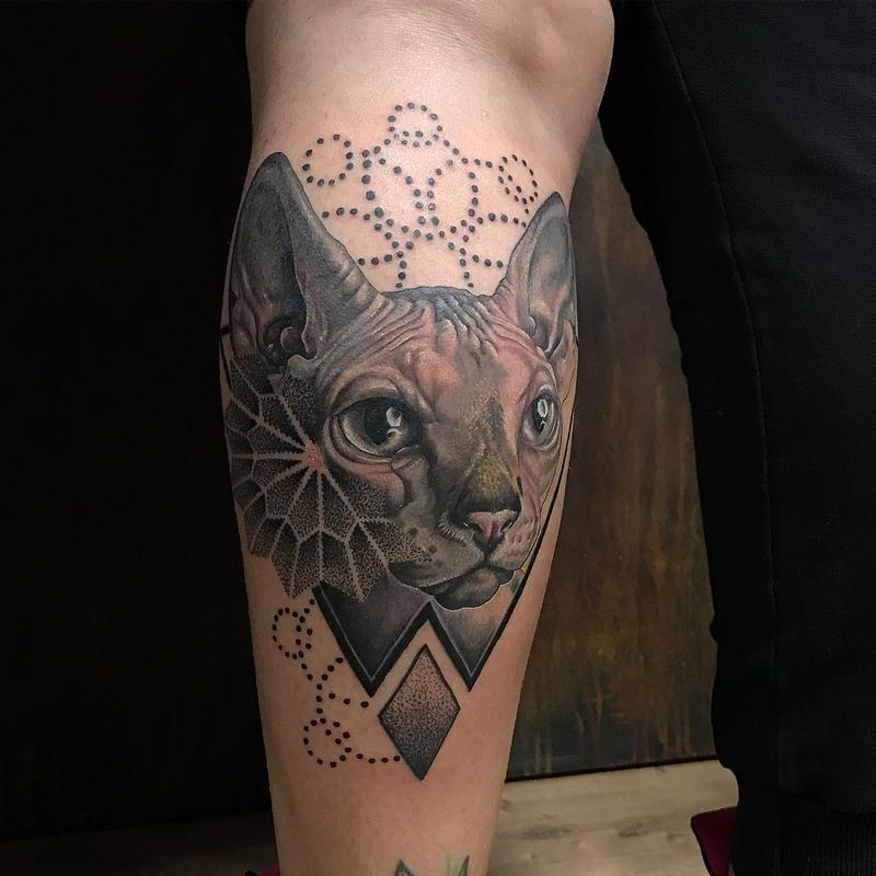 Realistic Sphinx Cat With Geometric Details