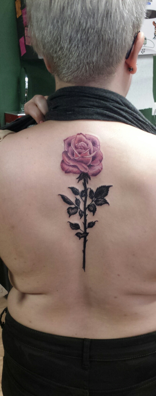 Rose in Color