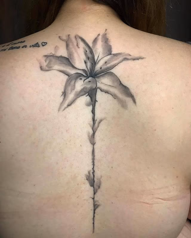 Lily Flower in Black and Gray