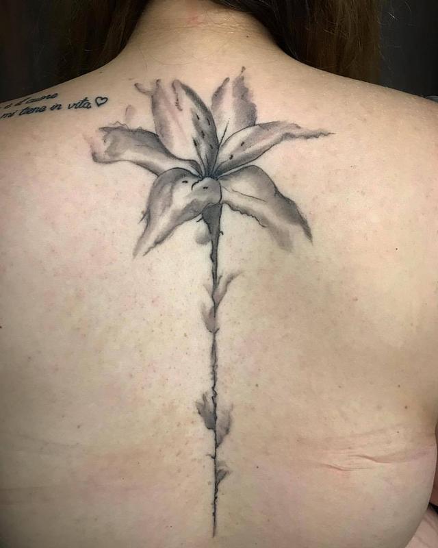 Lily Flower in Black and Gray