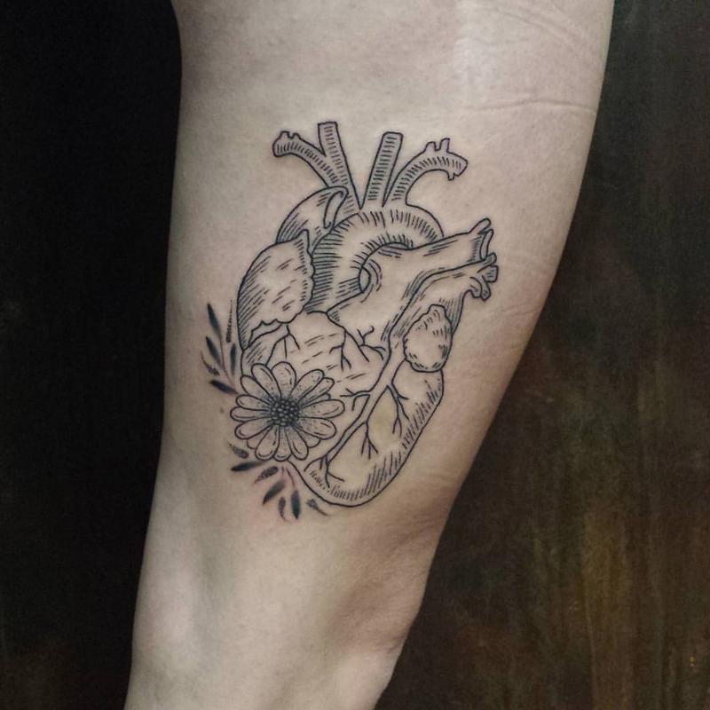 Linework Anatomic Heart