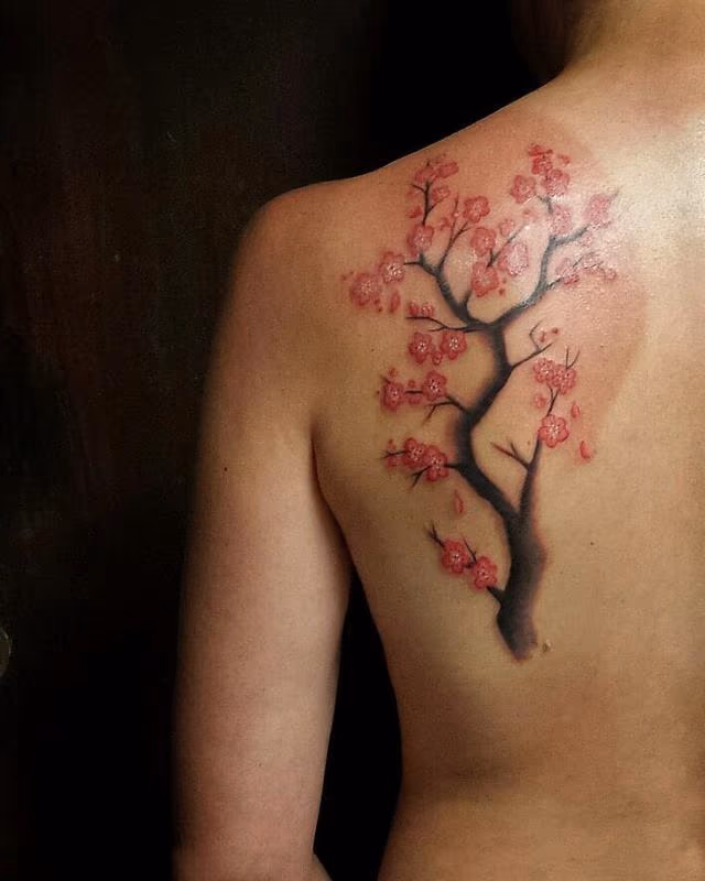 Cherry Tree with Flowers in Color